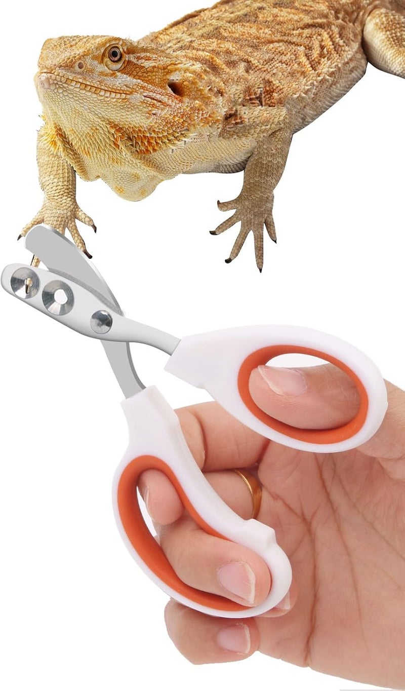 Engorgio Stainless Steel Bearded Dragon Nail Clippers,Lizard Nail Clippers,Bearded Dragon Supplies,Bearded Dragon Nail Scissors for Small Reptiles,Turtle,Chameleon,Iguana，Hedgehog（Orange） - Image 1
